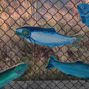 Meet your Posher, Katherine